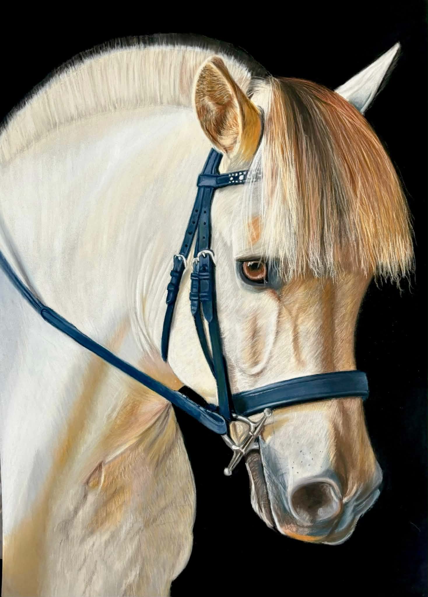 Pastel portrait of a pale palomino horse wearing a blue bridle