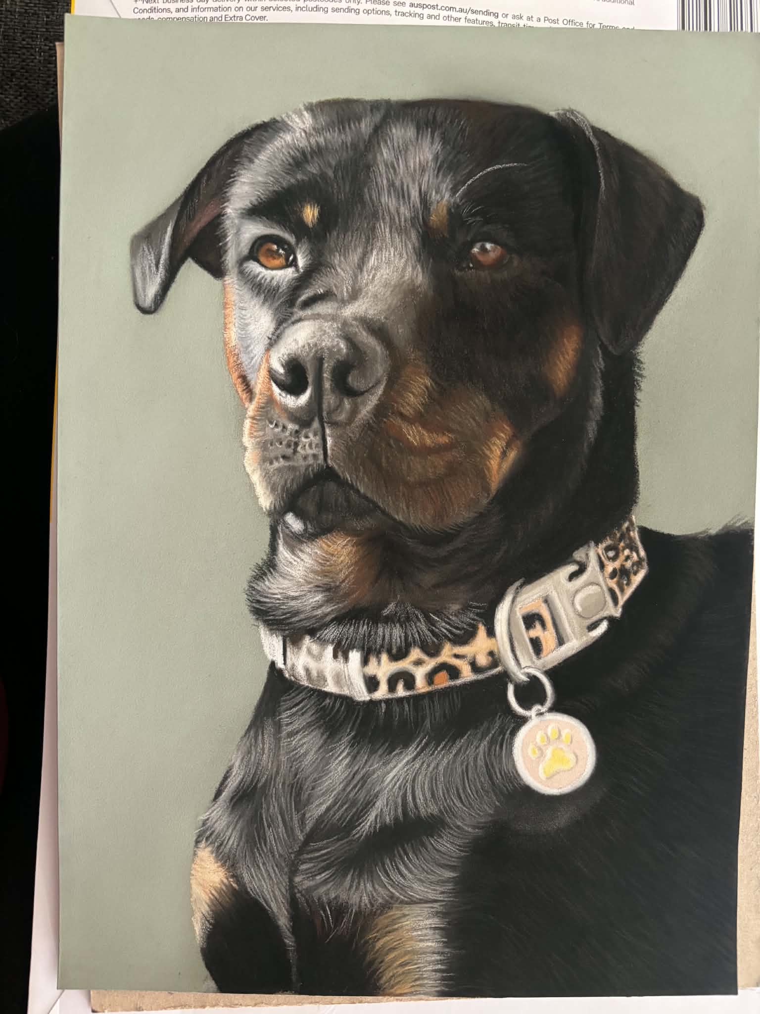 Pastel portrait of a rottweiler puppy wearing a leopard-print collar